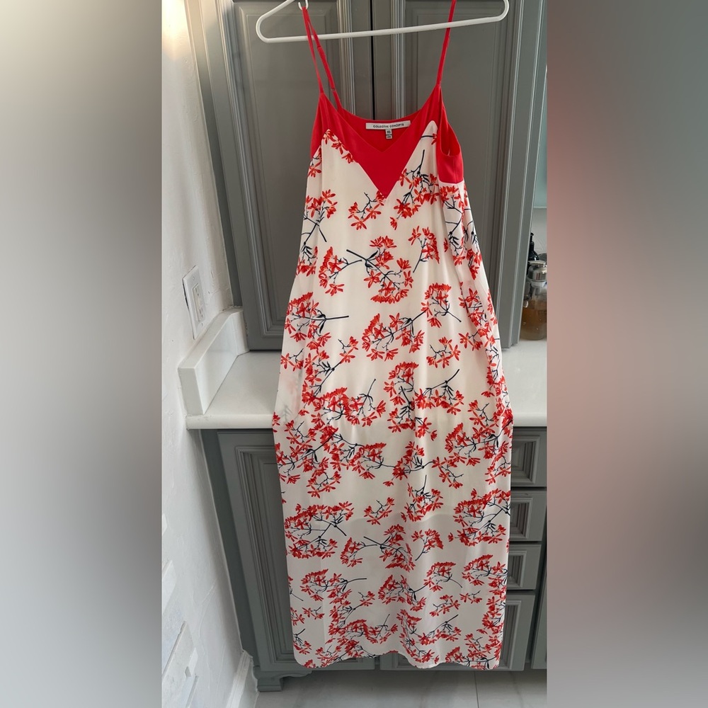 Collective Concepts Scarlet and Ivory Floral Dress